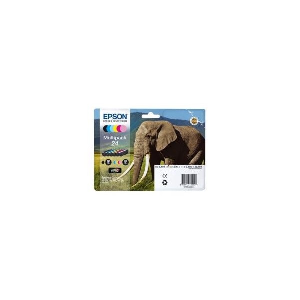 ELEFANTE 24 C13T24284011