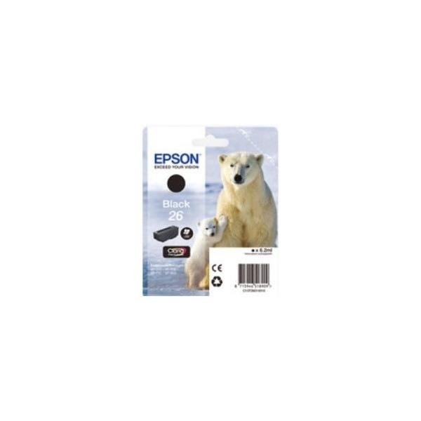 ORSO POLARE C13T26014012