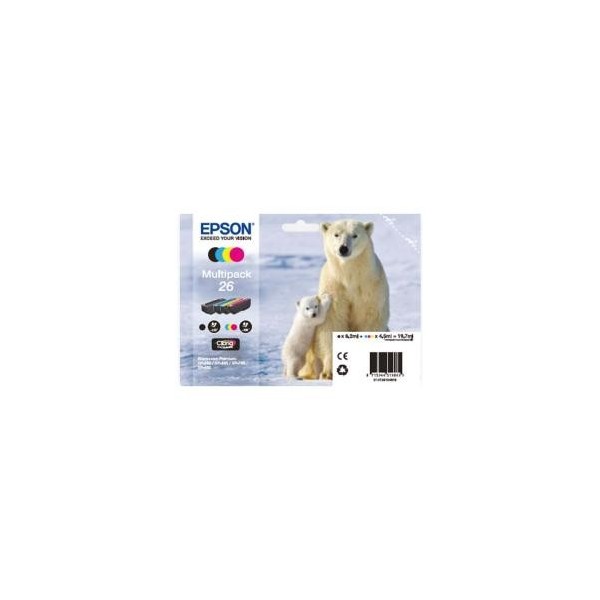 orso polare C13T26164020