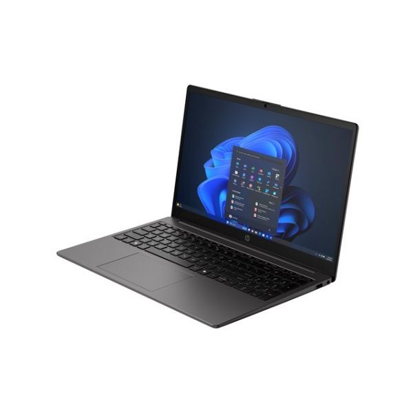 15.6" 250R G10 Windows 11 Pro D90Q6AT